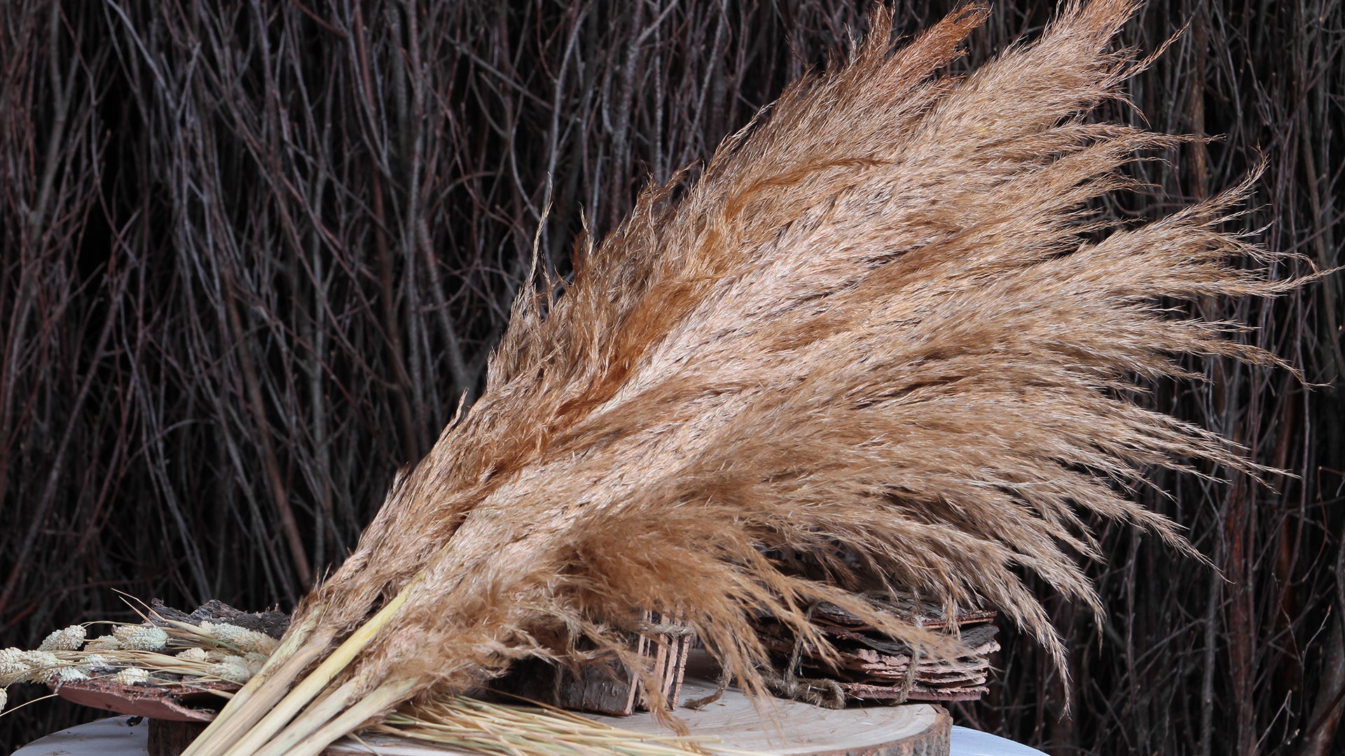 Dried Grasses Natural