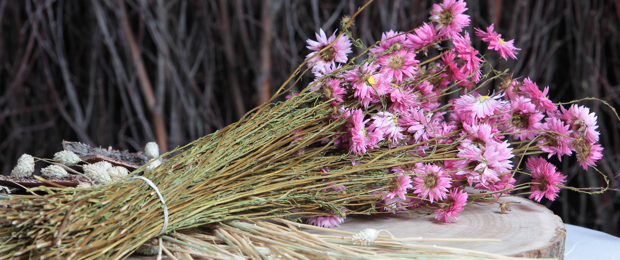 Dried Flowers Natural