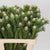 Leucadendron 'Ayoba' (Jade Pearl) (Various Lengths)