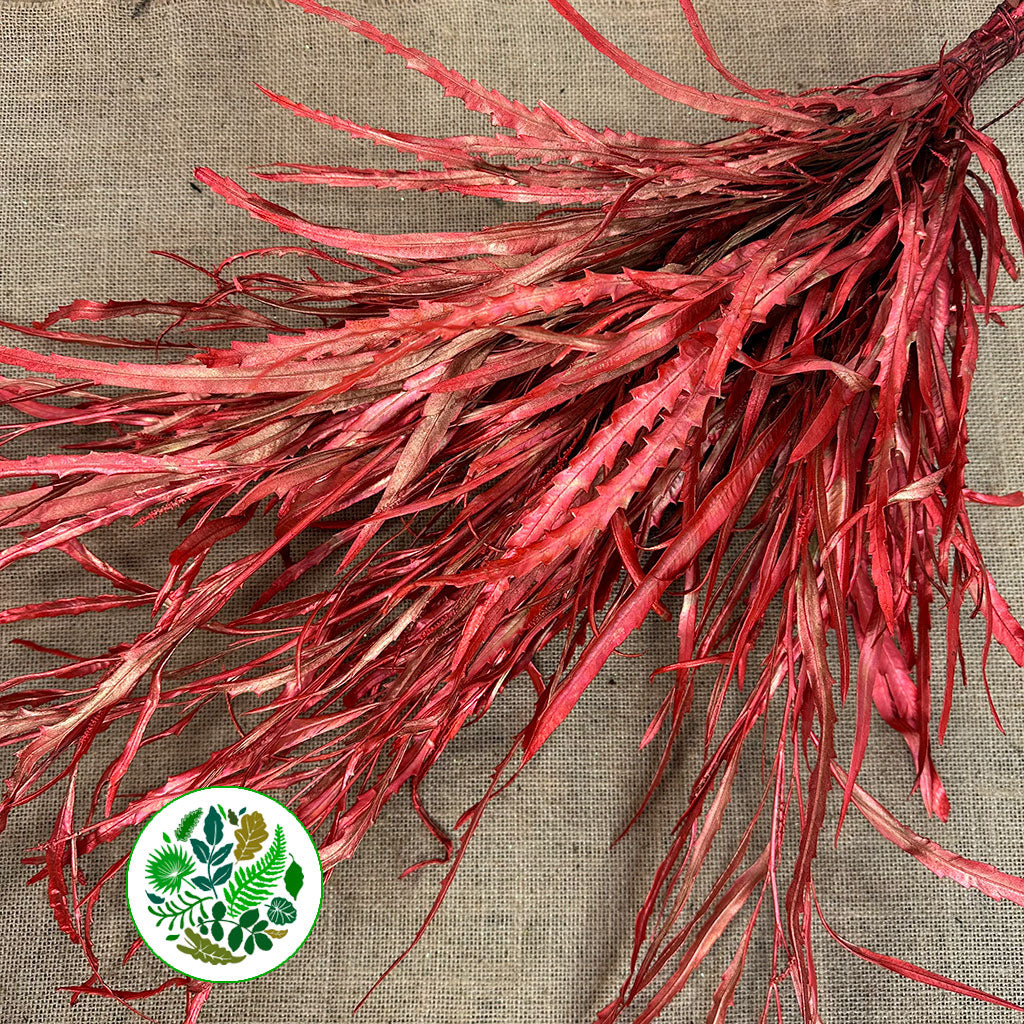 Grevillea &#39;Foliage&#39; (Painted Metalic) (Various Colours) 80cm