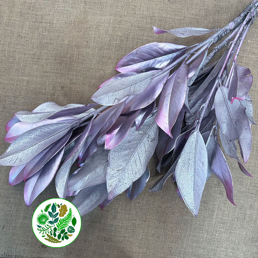 Magnolia &#39;Foliage&#39; (Painted Metallic) (Various Colours) 80cm (300g)