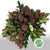 Skimmia 'Red' (Various Lengths)