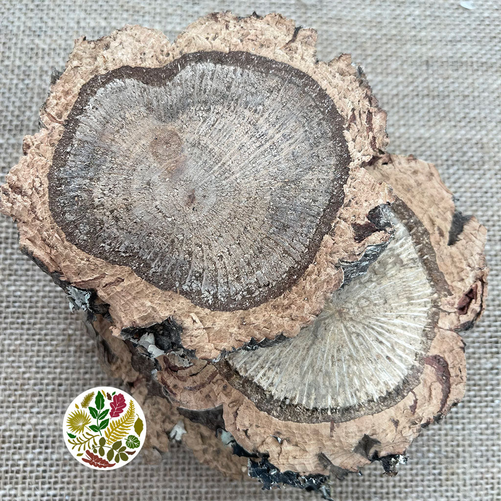 Cork Bark &#39;Slices&#39; (Round) (DRY) (Various Sizes)