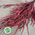 Grevillea 'Foliage' (Painted Metalic) (Various Colours) 80cm