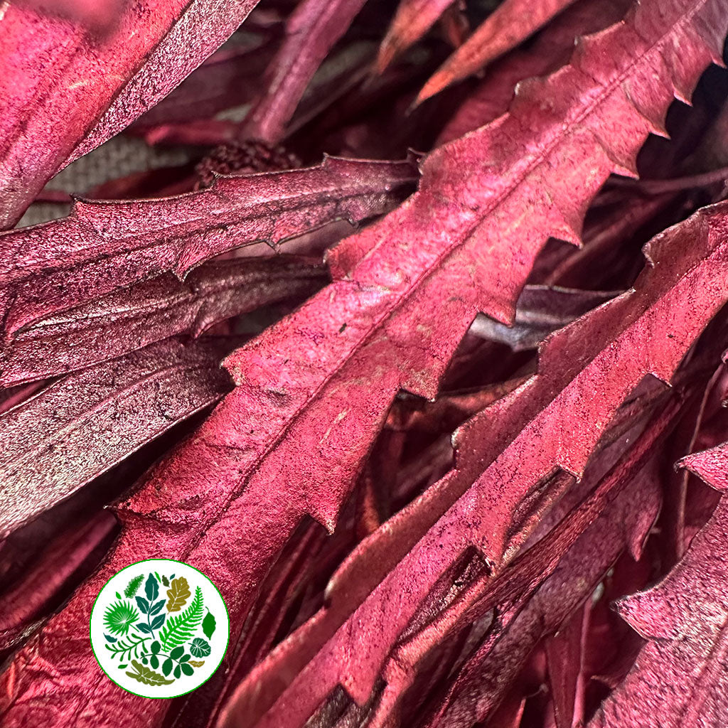 Grevillea &#39;Foliage&#39; (Painted Metalic) (Various Colours) 80cm