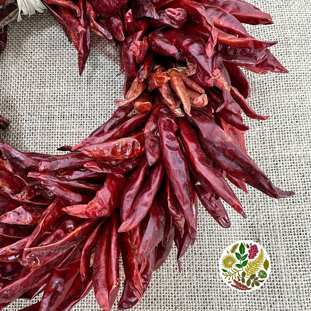 Wreath &#39;Chilli Peppers&#39; (DRY) (Various Sizes)