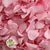 Hydrangea Flower 'Short' (Bleached/Coloured) (DRY)