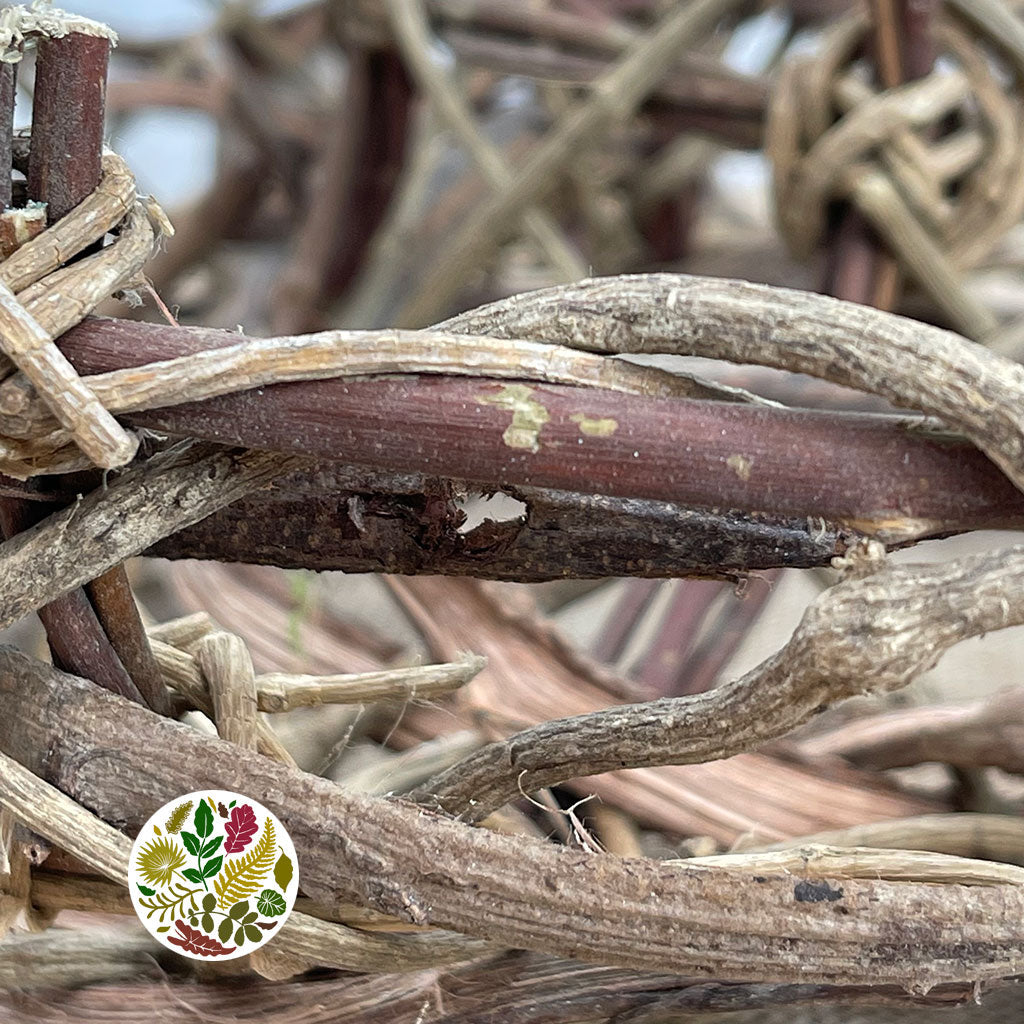 Wreath &#39;Crazy Vine&#39; (Half Open) (Natural) (DRY) (Various Sizes)