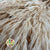 Grass 'Reed Grass' (Wild Plume) (Bleached) (DRY) 90cm (x10)