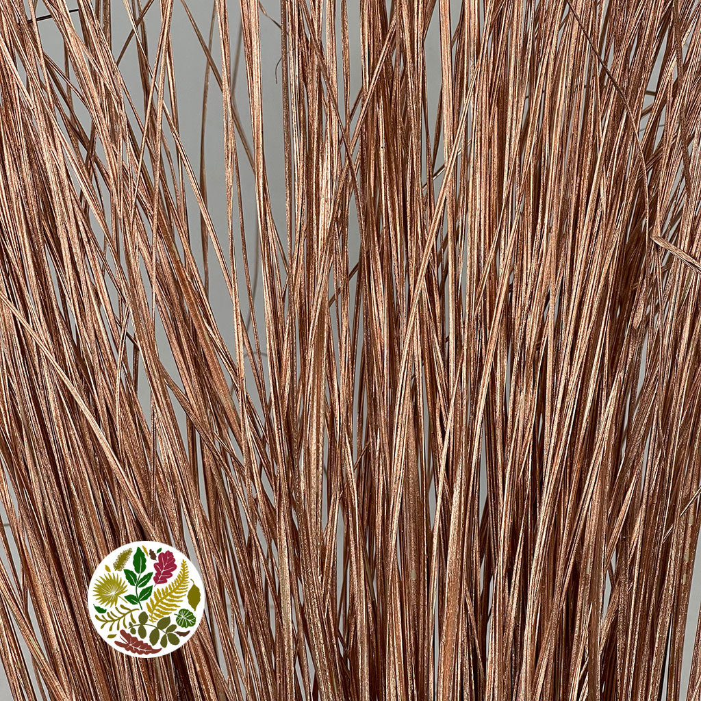 Grass &#39;Bear Grass&#39; XXL (Painted) (Various Colours)