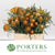 Protea 'Banksia' (Dryanda) (Various Lengths)