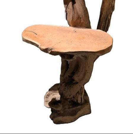 Teak &#39;Pot Holder&#39; (DRY) (D50cm x H120cm)