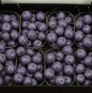 Waxed &#39;Crab Apples&#39; (Various Colours) (Small Tray)