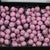 Waxed 'Crab Apples' (Various Colours) (Small Tray)