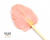 Palm Spear DRY Bleached (Pink) XXL 65cm (x3)
