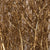 Hazel Catkin 4' (Painted/Glitter) (Various Colours)