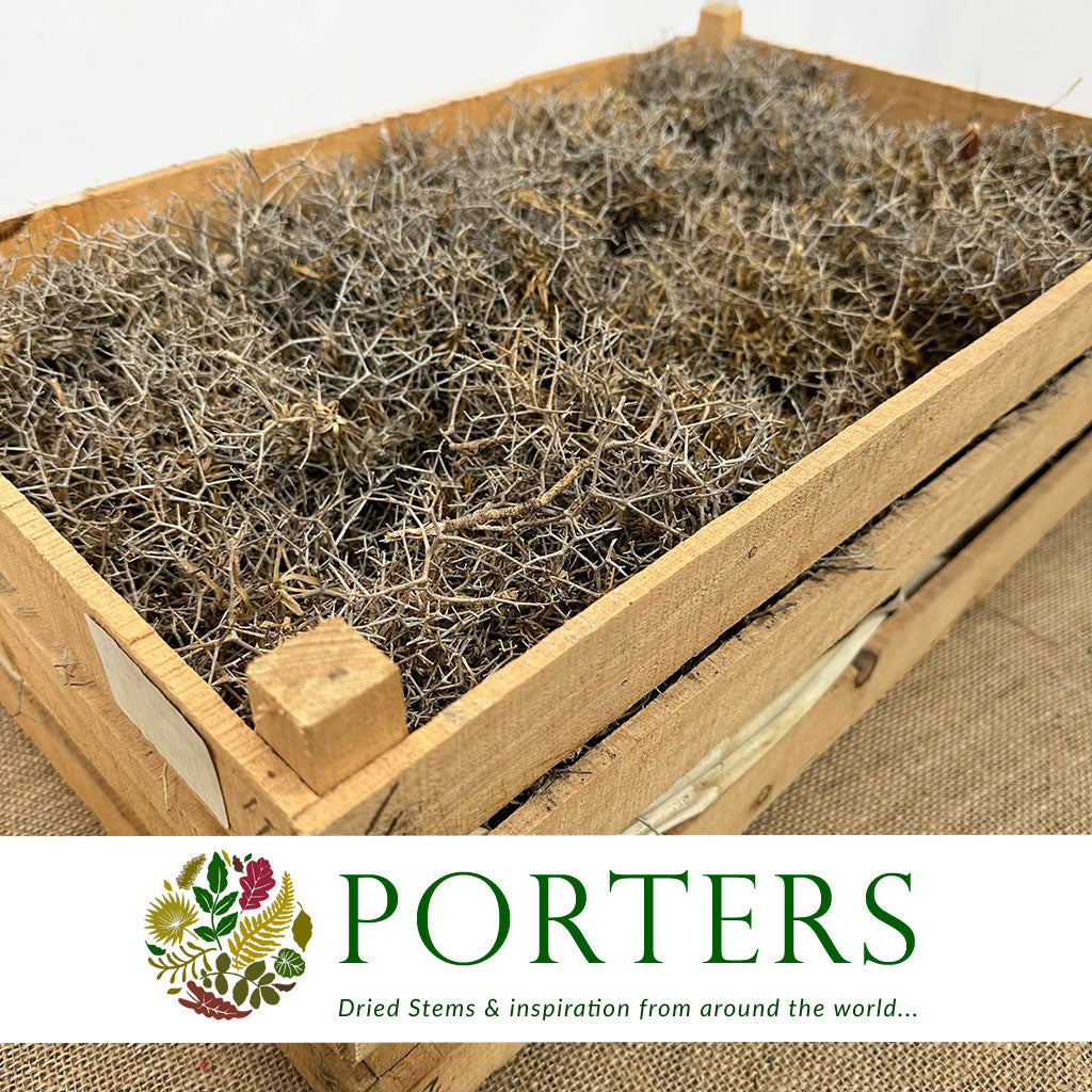 Iron Bush &#39;Natural&#39; Crate (DRY) (750g)