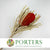 Protea 'Banksia' (Hookeri) (Red) DRY (Various Lengths)