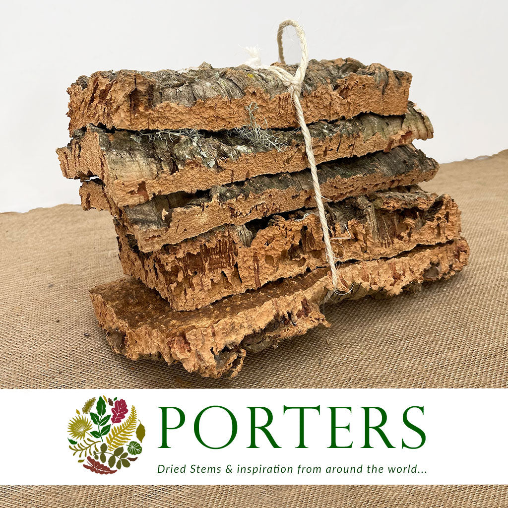 Cork Bark &#39;Pieces&#39; (Bundles x 5pcs) (DRY) (Various Sizes)