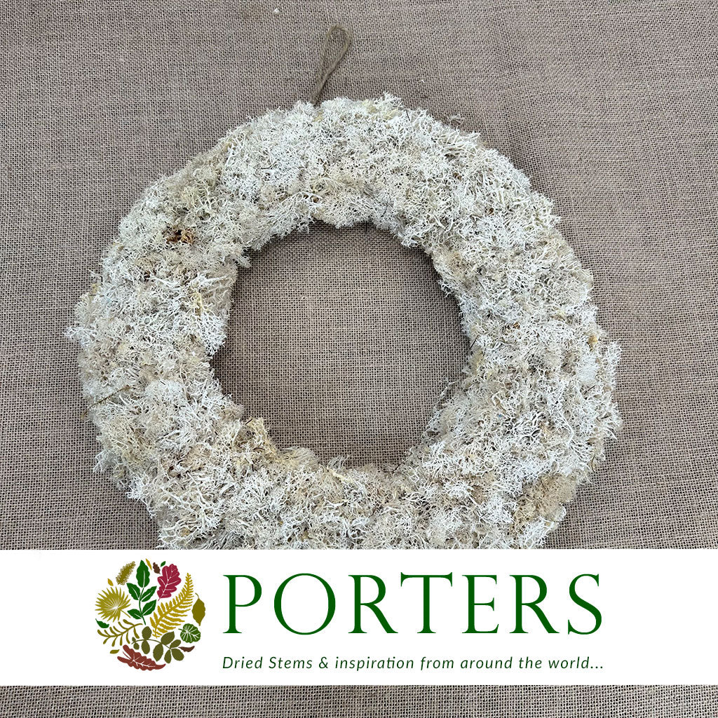 Wreath &#39;Moss&#39; (Reindeer) (Natural) (DRY) 40cm