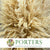 Grass 'Pampas' (Sacuara) (Bleached) (DRY) (Various Sizes)