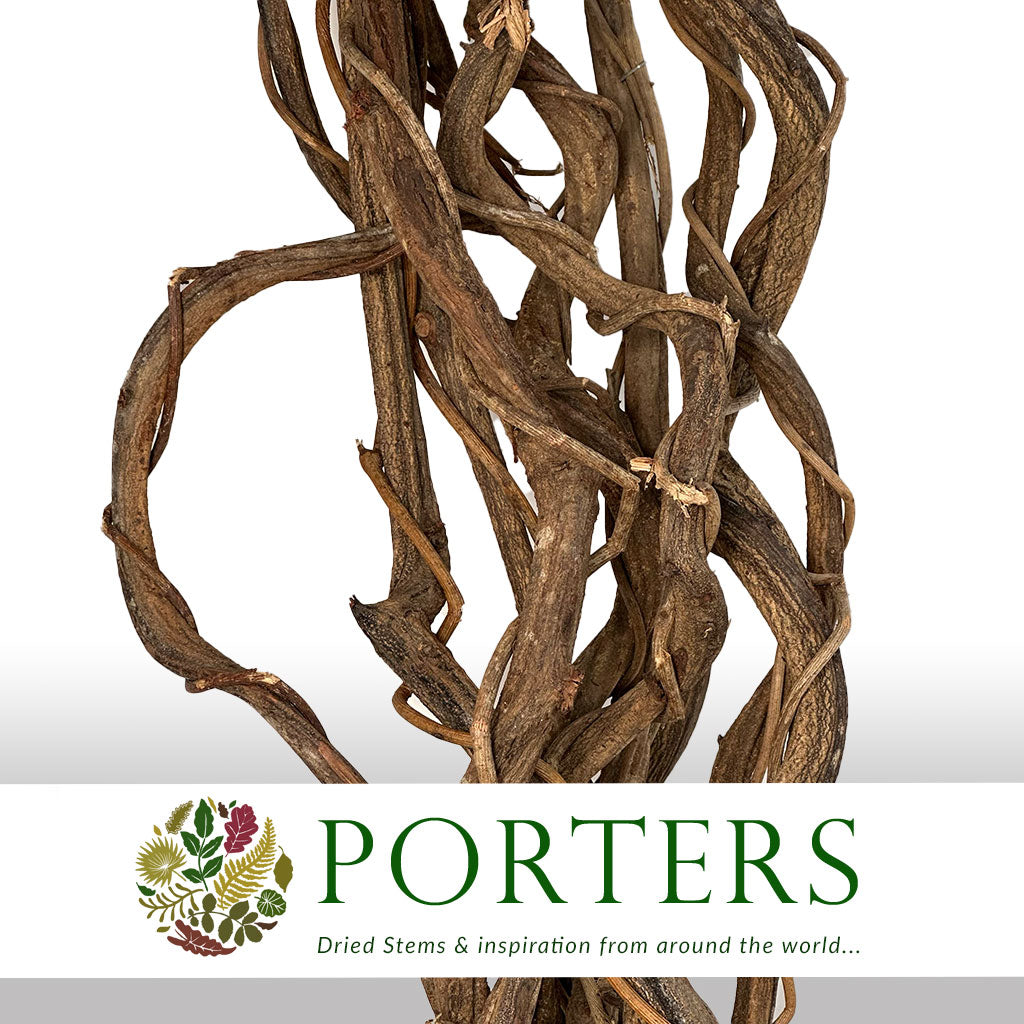 Crazy Vine Stems with Vine Natural 1.8 2m DRY x10 Porters Foliage Ltd