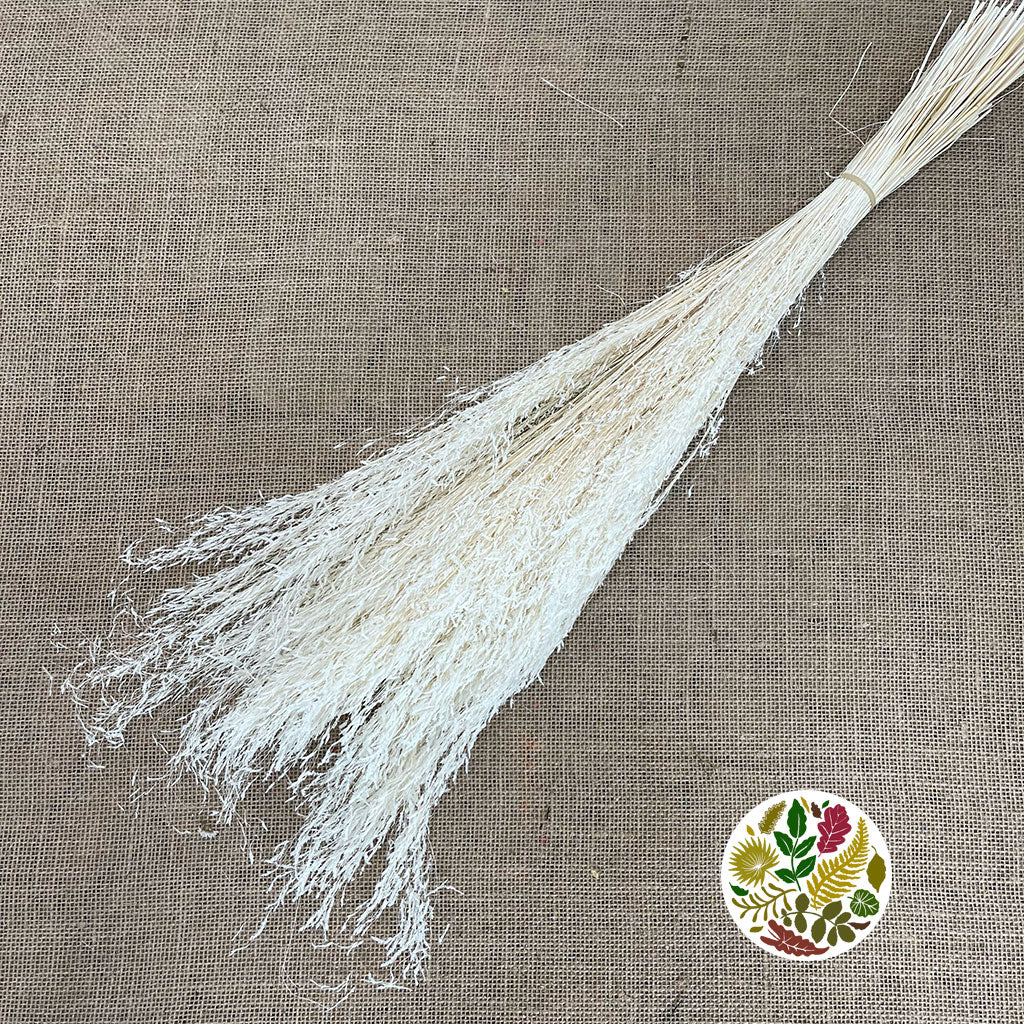 Grass &#39;Munni&#39; (Baby Breath) (Bleached) (DRY) (100g)