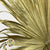 Palm 'Washingtonia' (Painted) (Gold) 160cm (Per stem)