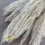 Grass 'Reed Grass' (Half Bleached) (DRY) (Premium Quality) (x5)