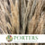 Grass 'Ampelodesmos' (Natural) (DRY) 110cm (100g)