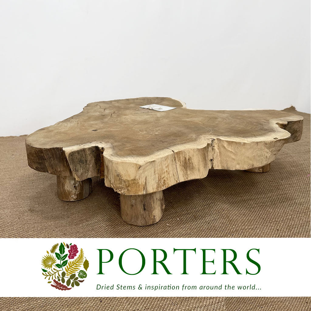 Teak &#39;Tray&#39; (Membatu) (3 Legs) (DRY) (D45cm x H10cm)