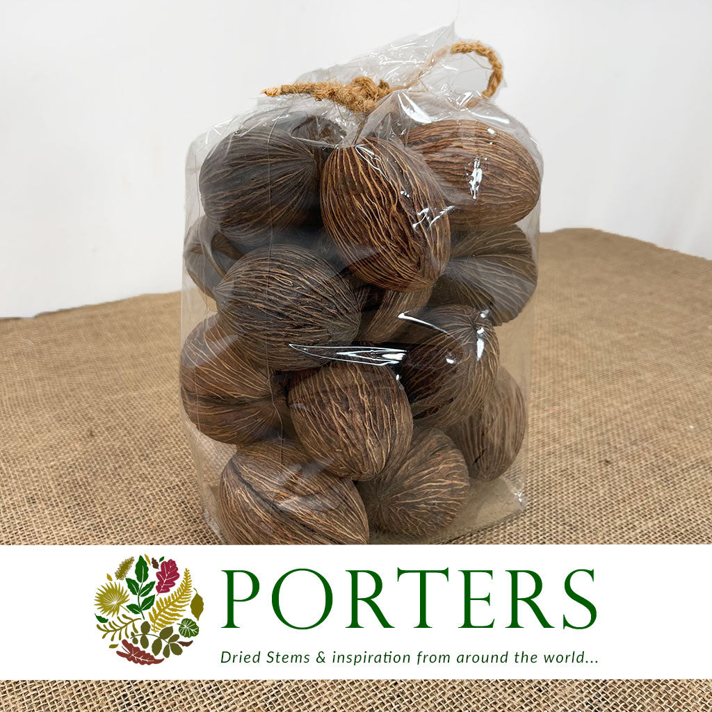 Rope 'Thick' (Small Bunch) (DRY) - Porters Foliage Ltd